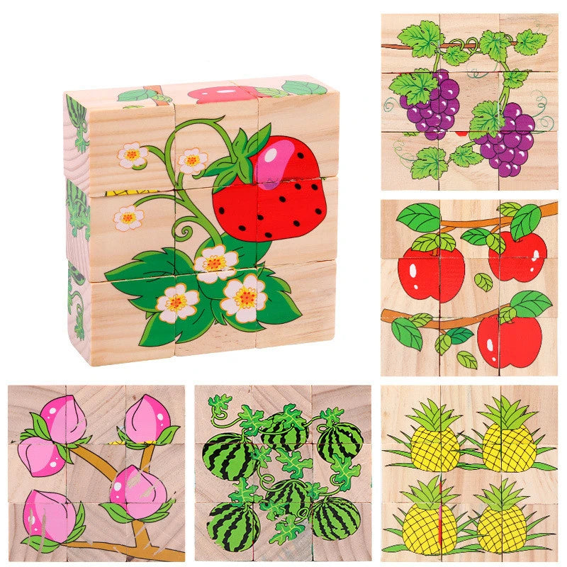 cubes en bois des Explorateurs